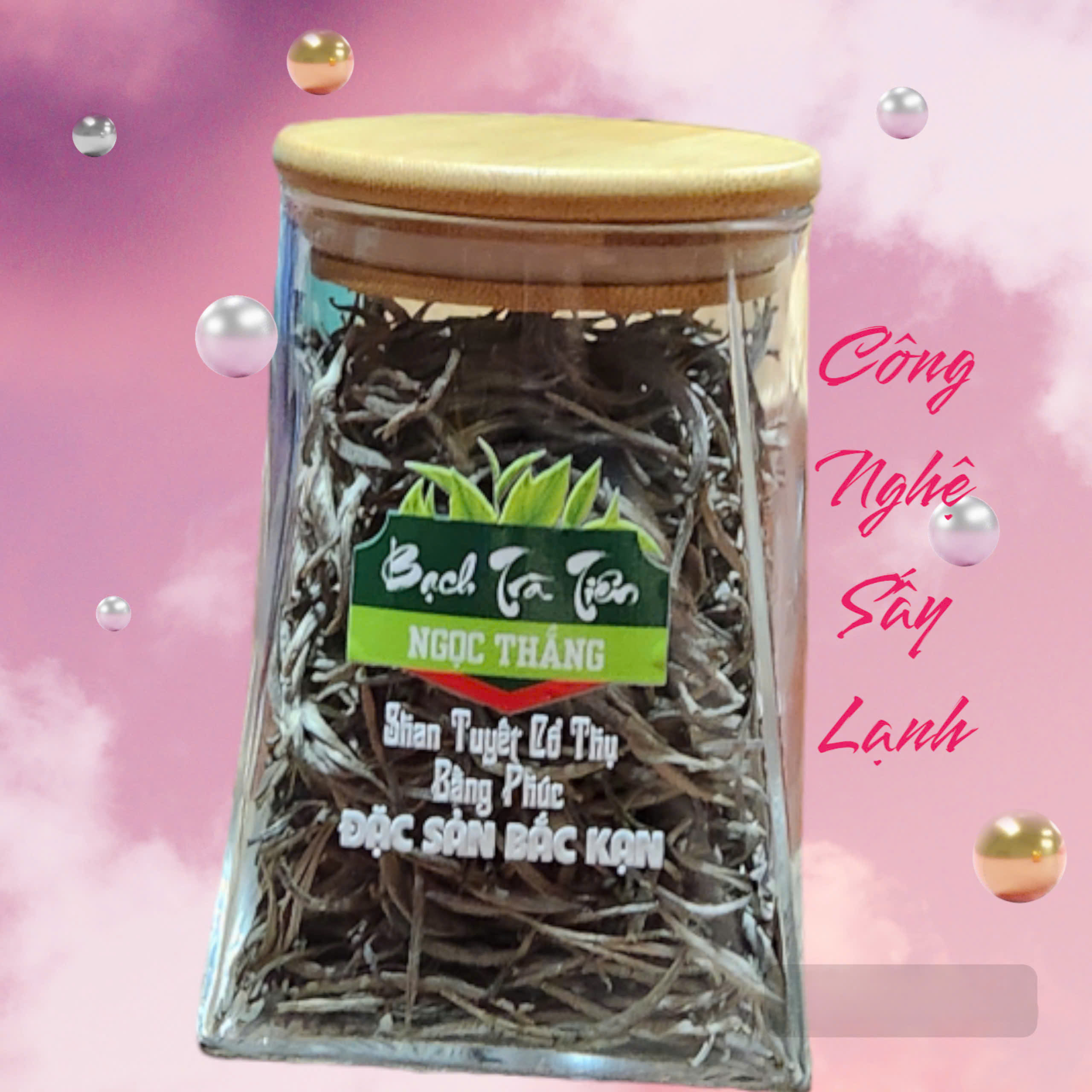bach-tra-tien bach-tra-tien